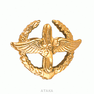 Эмблема петличная ВВС (повседневная)