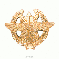 Эмблема петличная Войска связи (повседневная)