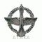 Эмблема петличная Космические войска (полевая)